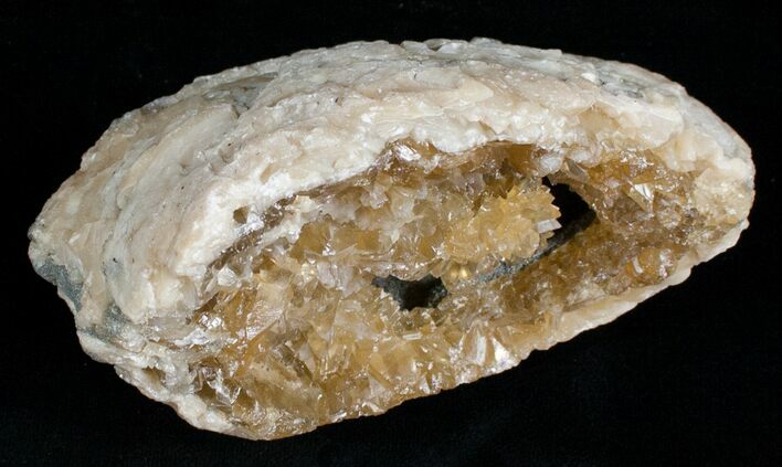 Crystal Filled Fossil Clam - Rucks Pit, FL #5535